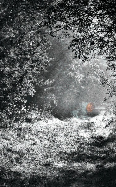 Cover art
